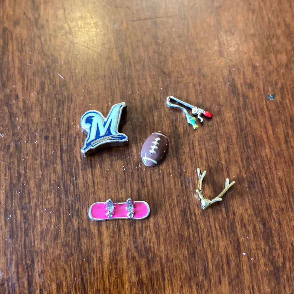Origami Owl Wisconsin Charms
